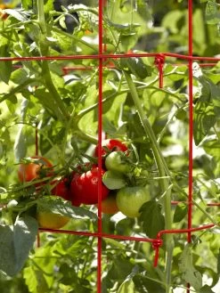 Tomato Cages, Set Of 4 -Pots - Planters Store 34182 592