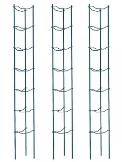 Tomato Ladders, Set Of 3 -Pots - Planters Store 38184 002E psd