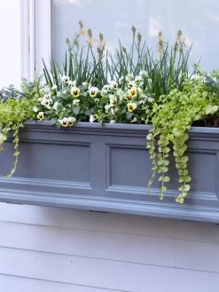 Fairfield Self-Watering Window Box, 3’ -Pots - Planters Store 39 344 9360 tif