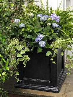 Fairfield Self-Watering Square Planter, 20” X 20” -Pots - Planters Store 39 618 205V tif