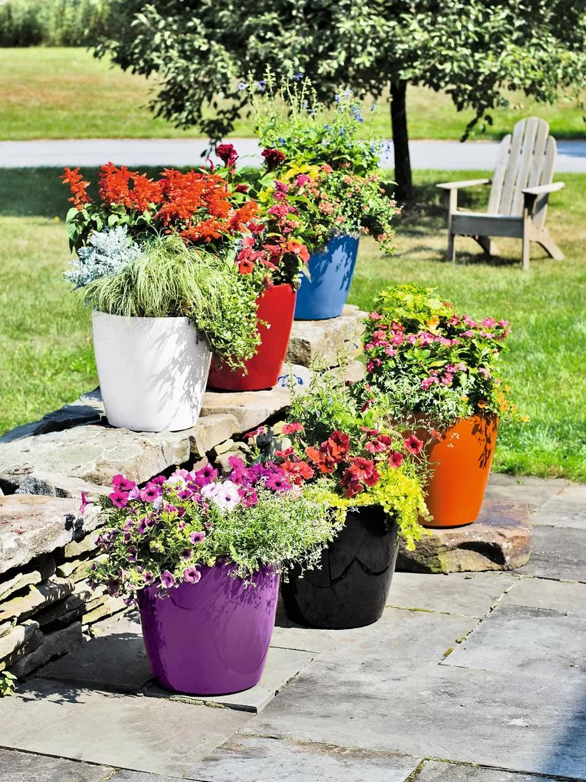 Viva Round Self-Watering Rolling Planter, 14" Diameter 3 Viva Round Self-Watering Rolling Planter, 14" Diameter