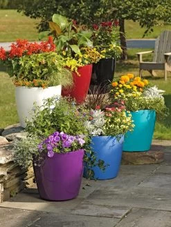 Viva Round Self-Watering Rolling Planter, 17.25” Diameter -Pots - Planters Store 39326 042 tif