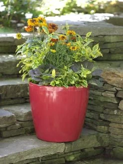 Viva Round Self-Watering Rolling Planter, 17.25” Diameter -Pots - Planters Store 39326 046 tif