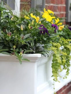Fairfield Self-Watering Window Box, 4’ -Pots - Planters Store 39345 102V tif