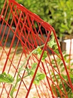 Deluxe Cucumber Trellis -Pots - Planters Store 39806 542 tif