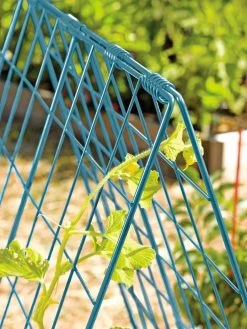 Deluxe Cucumber Trellis -Pots - Planters Store 39806 BLUE 100 tif
