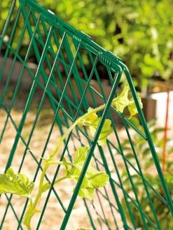 Deluxe Cucumber Trellis -Pots - Planters Store 39806 GR edit tif