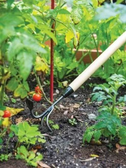 Gardener's Lifetime Long-Handled Double Tool 9 Gardener's Lifetime Long-Handled Double Tool -Pots - Planters Store 3 4 crop 8592107 2460 tif