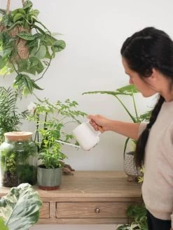 Pinpoint Indoor Watering Can -Pots - Planters Store 3 4 crop 8612963 3774