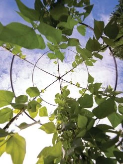 Jardin Tower -Pots - Planters Store 3 4 crop 8612997 0033