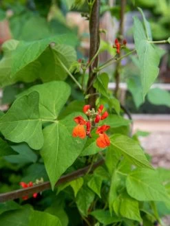 Jardin Tower -Pots - Planters Store 3 4 crop 8612997 0059