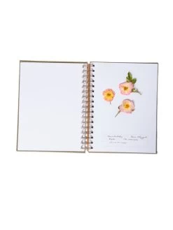 Herbarium Journal 7 Herbarium Journal -Pots - Planters Store 3 4 crop 8613227 2987