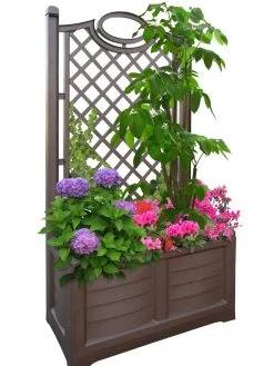 Separate Flower Box With Trellis -Pots - Planters Store 3 4 crop 8613626 04V