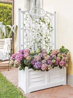 Separate Flower Box With Trellis -Pots - Planters Store 3 4 crop 8613626 13V
