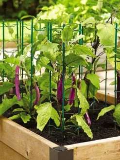 Pepper And Eggplant Stakes, Set Of 3 6 Pepper And Eggplant Stakes, Set Of 3 -Pots - Planters Store 40308 2116 tif