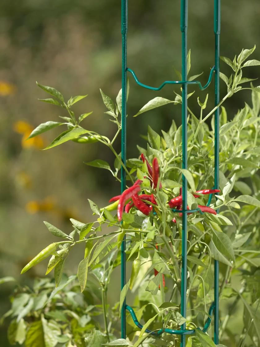 Pepper And Eggplant Stakes, Set Of 3 3 Pepper And Eggplant Stakes, Set Of 3 - Image 2