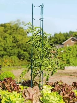 Stacking Tomato Ladders, Set Of 6 -Pots - Planters Store 40309 100 tif