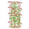Tomato Cage, Single -Pots - Planters Store 8587039 TomatoCage tif