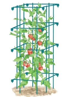 Tomato Cage, Single -Pots - Planters Store 8587039 TomatoCage BLUE tif