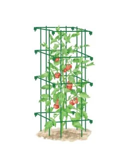 Tomato Cage, Single -Pots - Planters Store 8587039 TomatoCage GRN tif