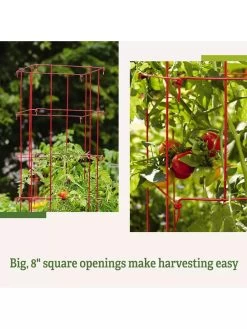 Tomato Cages, Set Of 4 -Pots - Planters Store 8587040 2
