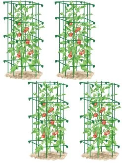 Tomato Cages, Set Of 4 -Pots - Planters Store 8587040 GR 001E tif