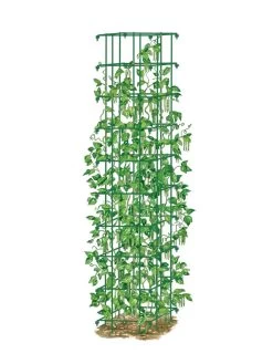 Bean Tower -Pots - Planters Store 8587060 0008 GRN tif