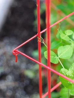 Tall Expandable Pea Trellis 9 Tall Expandable Pea Trellis -Pots - Planters Store 8587061 010 tif