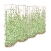Tall Expandable Pea Trellis -Pots - Planters Store 8587062 0001 RED tall expandable pea trelis tif