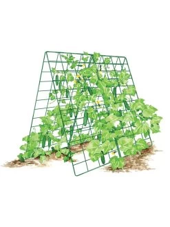 Deluxe Cucumber Trellis -Pots - Planters Store 8587083 001 GRN tif