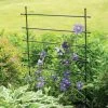 Jardin Ladder Trellis -Pots - Planters Store 8587107 1651 tif