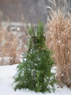 Jardin Pot Trellis -Pots - Planters Store 8587120 009 tif