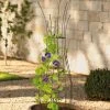 Jardin Pot Trellis 1 Jardin Pot Trellis -Pots - Planters Store 8587120 224 tif