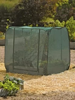 Pest Control Pop-Ups 13 Pest Control Pop-Ups -Pots - Planters Store 8587859 026 tif