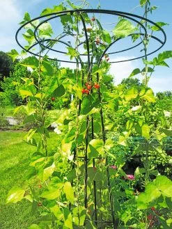 Essex Tuteur, 78" -Pots - Planters Store 8587861 100 tif