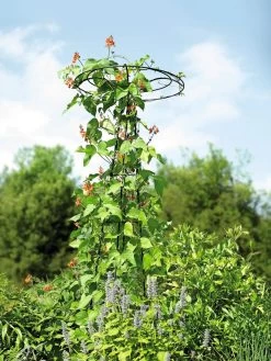 Essex Tuteur, 78" -Pots - Planters Store 8587861 4160 tif