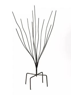 Bottle Bush 7 Bottle Bush -Pots - Planters Store 8588047 0697