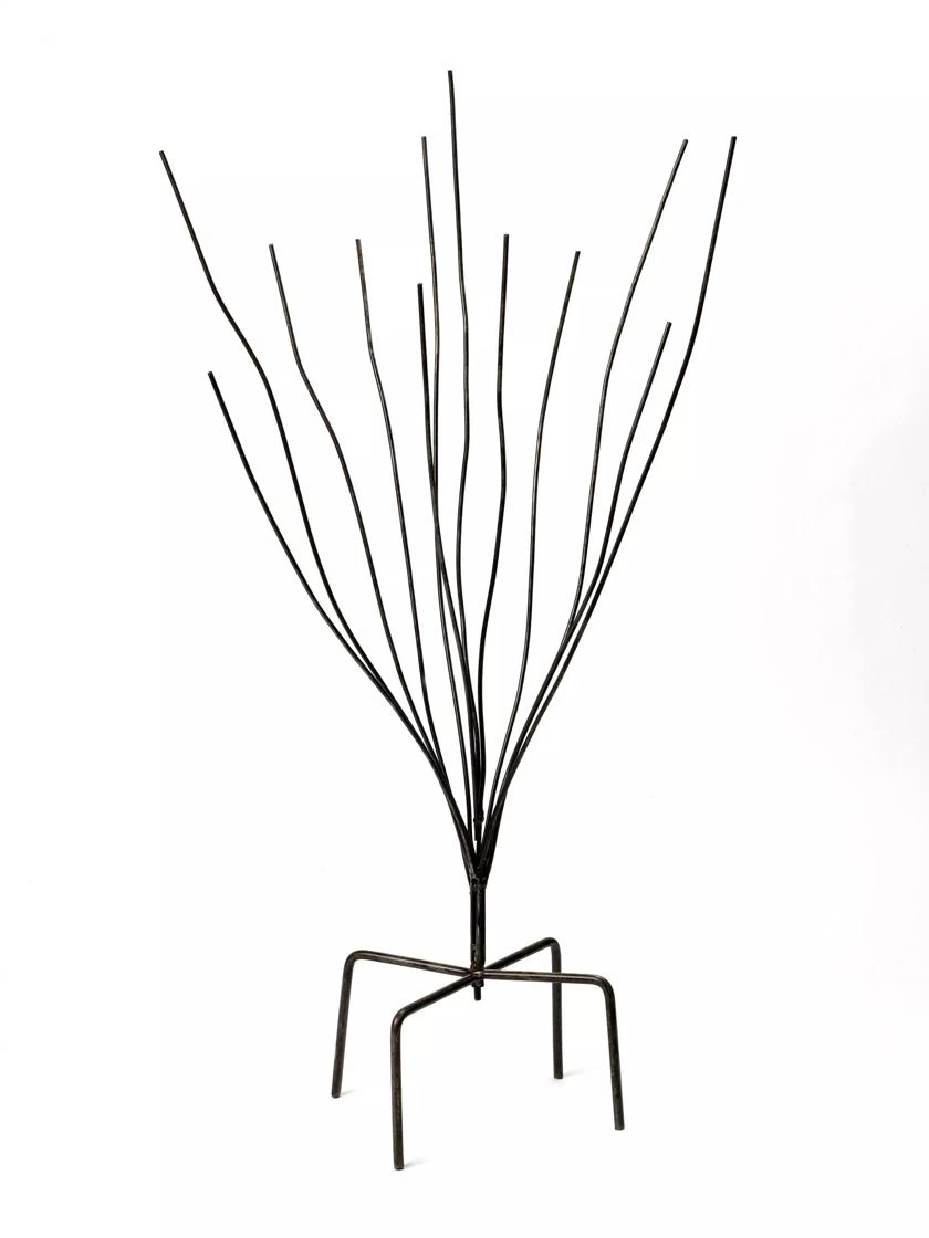 Bottle Bush 5 Bottle Bush - Image 3