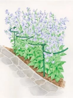 Tidy Path Supports 7 Tidy Path Supports -Pots - Planters Store 8588403 003 1