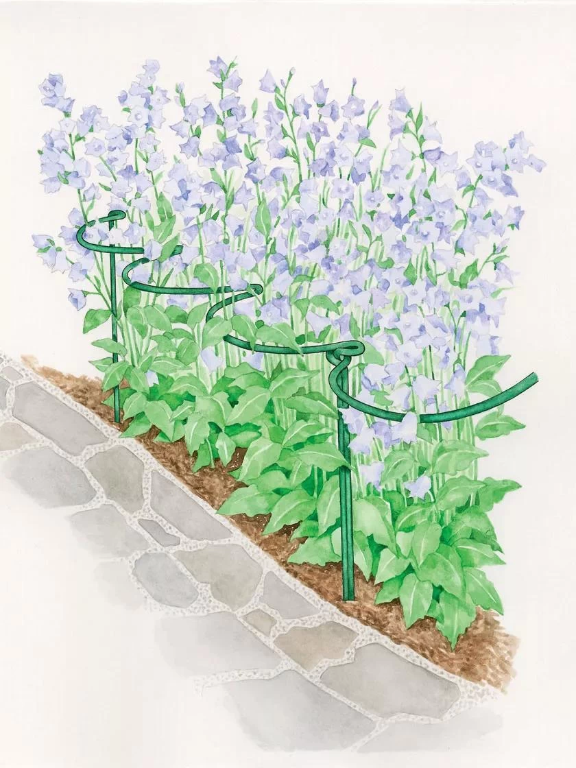 Tidy Path Supports 5 Tidy Path Supports - Image 3