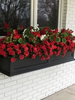 Fairfield Self-Watering Window Box, 5’ -Pots - Planters Store 8588938 100V tif