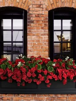 Fairfield Self-Watering Window Box, 5’ -Pots - Planters Store 8588938 102V tif