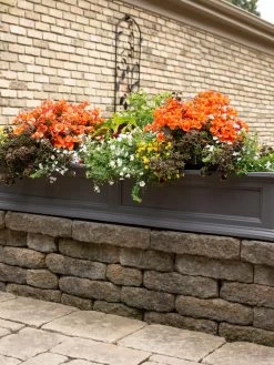 Fairfield Self-Watering Window Box, 5’ -Pots - Planters Store 8588938 105V tif