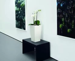 Lechuza® Cubico Color Tall Self-Watering Planters -Pots - Planters Store 8589485 03V tif