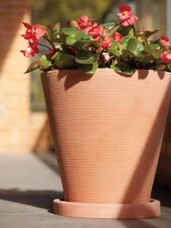 Universal Round Planter Saucers -Pots - Planters Store 8589526 001V tif