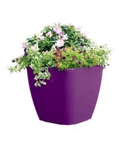 Viva Square Self-Watering Rolling Planter, 17.5" Diameter -Pots - Planters Store 8589778PR 6126 tif