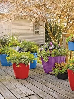 Viva Square Self-Watering Rolling Planter, 17.5" Diameter -Pots - Planters Store 8589778 09000 tif