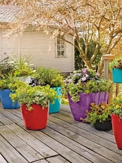 Viva Square Self-Watering Rolling Planter, 14" Diameter -Pots - Planters Store 8589778 8000 tif