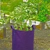 Gardener's Best® Potato Grow Bag -Pots - Planters Store 8589785PR 4191 potato grow bags with handles tif
