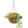 AquaSav™ Oxford Hanging Basket, 14" 2 AquaSav™ Oxford Hanging Basket, 14" -Pots - Planters Store 8589789 028 tif
